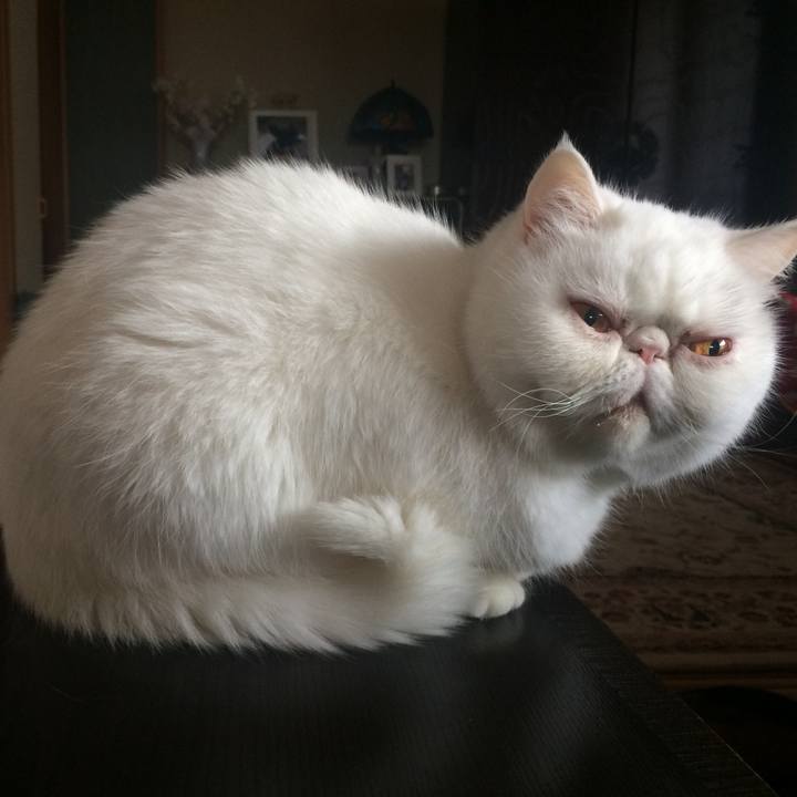 500c9aae c4b1 49bf aa34 01db1e6c5606