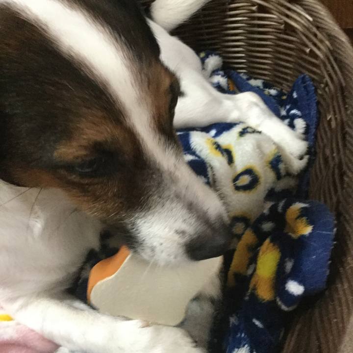 500d52c6 4ca3 48d8 84e5 40dfd547b144