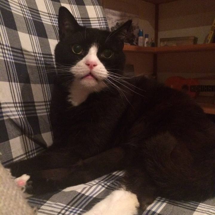 500d52fd b639 4fac b1b3 ee109c3414cf