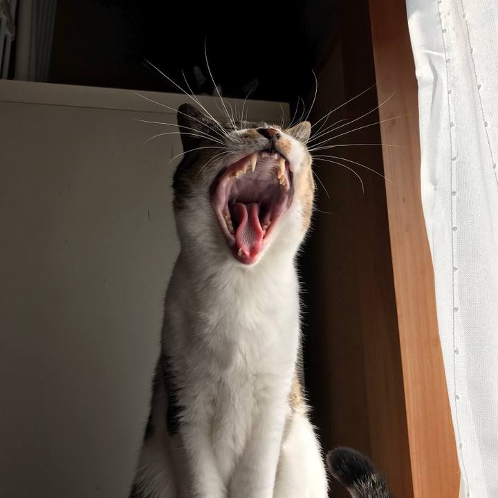 500ea577 9e72 4c15 81df 4d1e29cb7c62