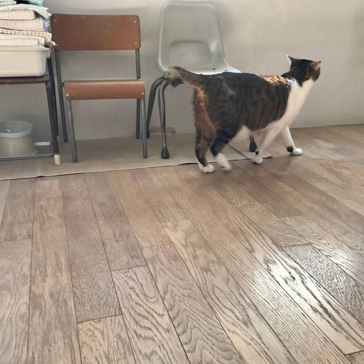 500f49da fc84 4f7d 91b5 f9fa703382ee