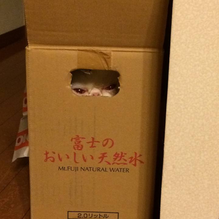 500f7746 df37 42a1 be4f 5de73575135a