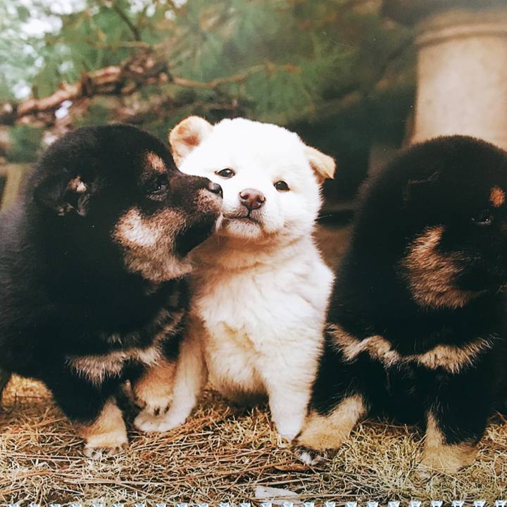 500fab30 3b0f 4cd4 96d3 c4e15930622a