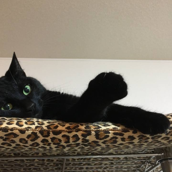 500fbcb5 b671 4ace a147 7adcf0b73fdb