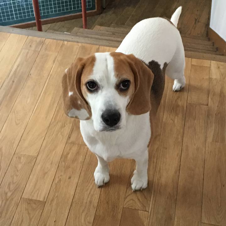 500fd3c6 8356 4754 8f54 f989ba693353