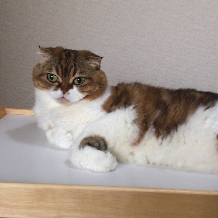 500fed21 14ff 4303 873b 986cf1a33a6f