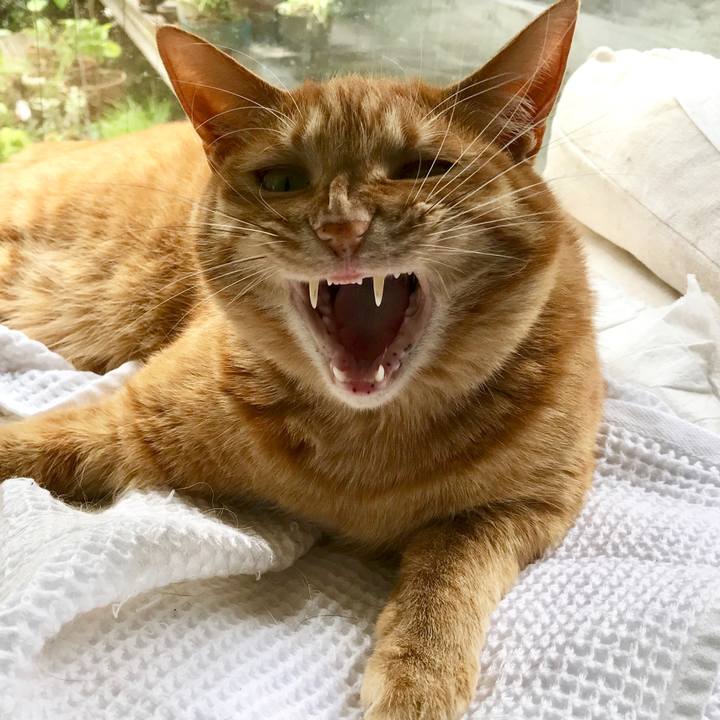 50104dc7 11fb 41d6 9bd0 6e311209ce87