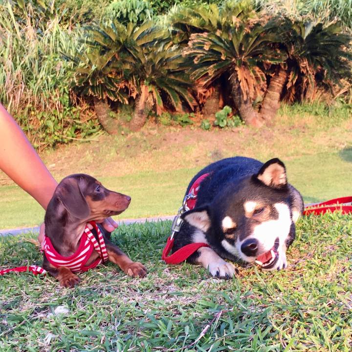 5010c7fb 6d21 4331 ae73 1873a95ffd18