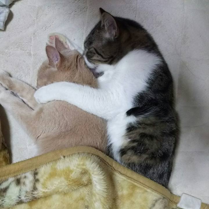 5011b9c6 b39b 4ef2 818b a221edd98204