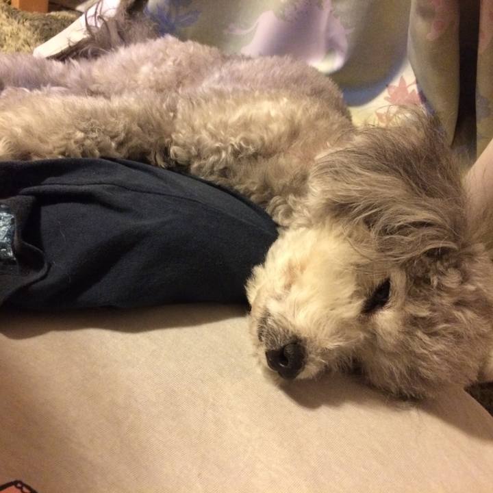 5011f201 3e99 4cfc 8451 e9382af269e1