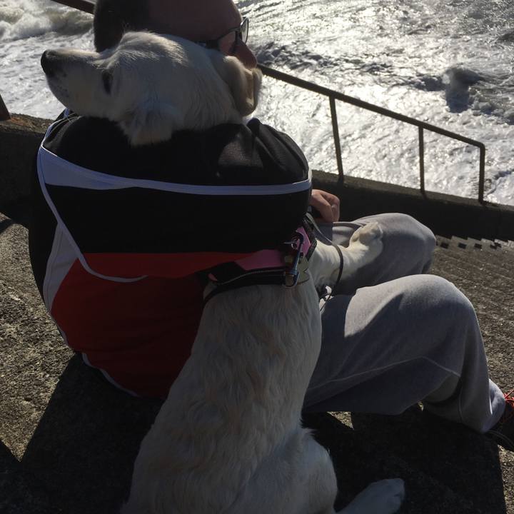 50121976 4fa8 4d77 babd a3d8caae4bc7