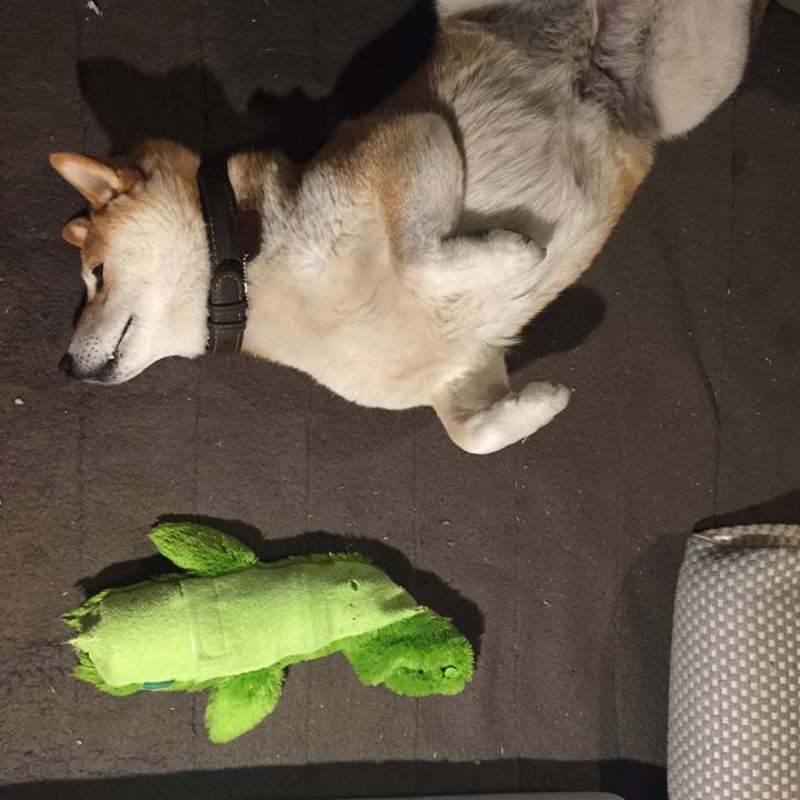 5012b62e 30cf 4aaa a31c 309e7ef91228