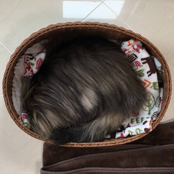 5012ff5f 79df 4e31 8461 ae535eb1e60c