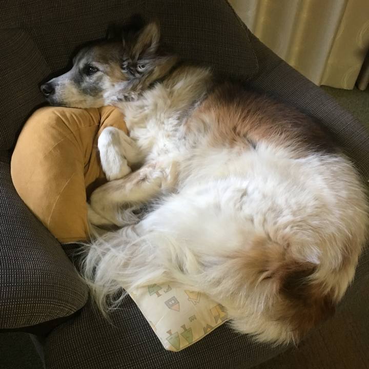 501306c5 b10f 4ed9 9681 d1e2f2618597