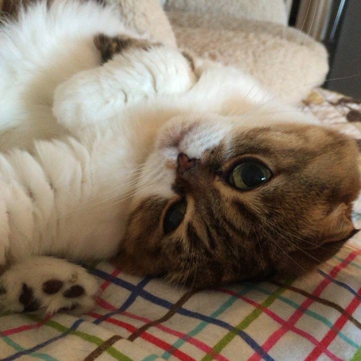 50135681 0ce5 4cb8 8e4d 188fe77370af