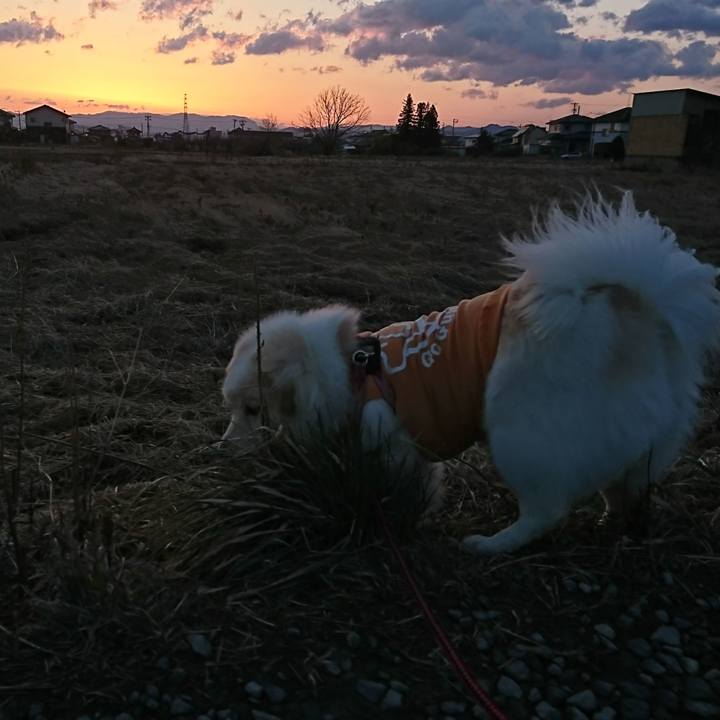 5013b268 fdf7 4098 b8a3 50648ce85591