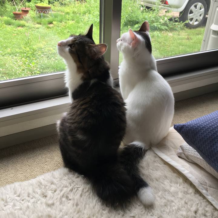 5013b50f a02e 4eff 85a2 5bbf98596ef1