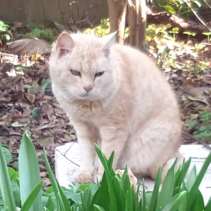 501424be 4f34 483a 850f ec186a11ba20