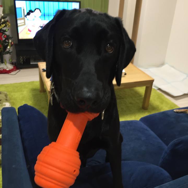 50144603 b02b 4741 bced dd746d780246