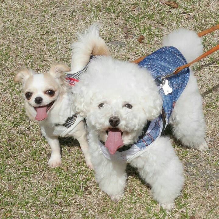 50155524 f62b 4e79 b44e b18b61af775e