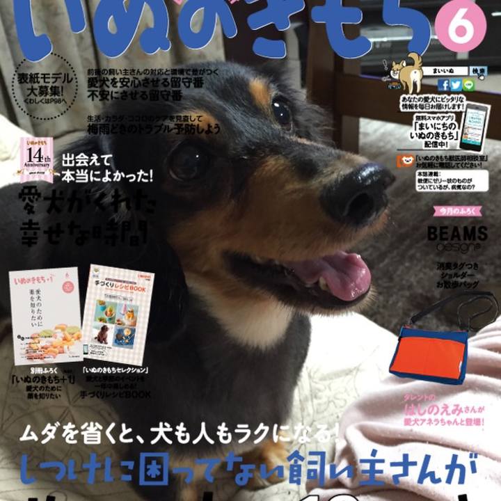 5015e953 32c6 4844 9858 be000cf56228