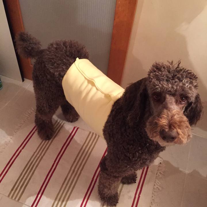 501718b4 d030 4130 a6a4 a4c805a33659