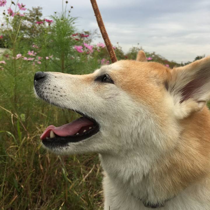 50172134 f479 47ff b7b5 b018736be77e