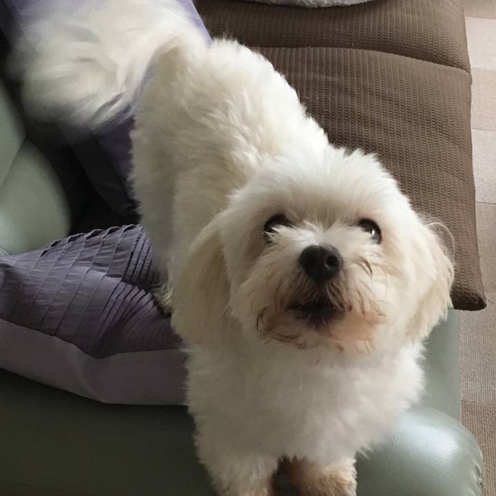 50174557 63dd 44fa b546 b3cfaad9470a