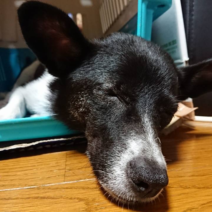 501771ea e96a 404e a4f4 6caf470bb574