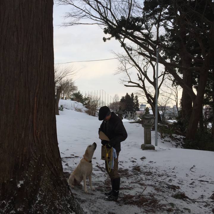 50179ded b4d3 40a2 a7b8 1e94b268f1da