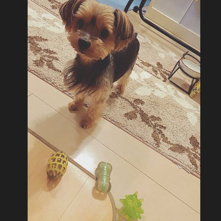 5017e92b 1304 430f 92a3 c28ade9a8d01