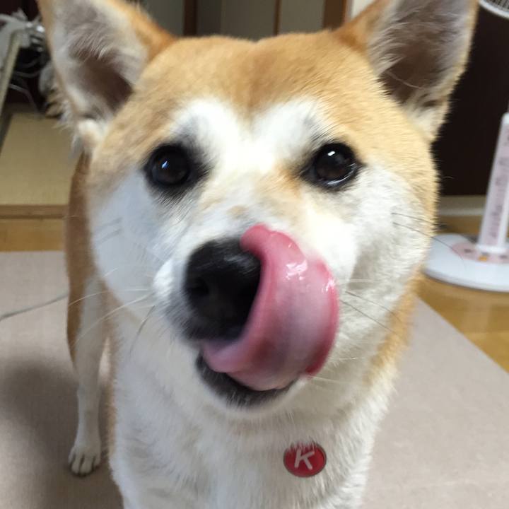 5018147f 210a 4dcb abf7 abeeffc02428