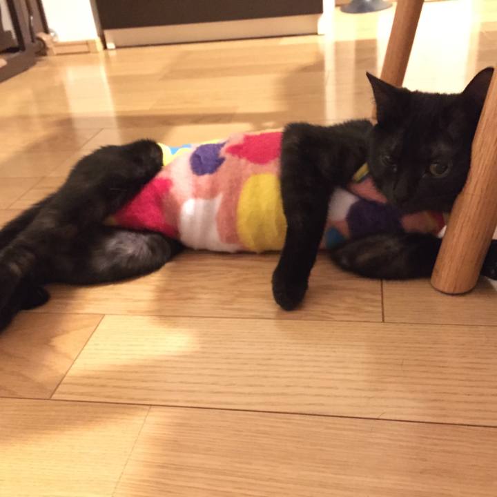 501829bd 67dc 4079 8354 0f313831894f