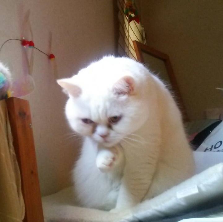 50182b58 a075 4cd1 98c5 11a495d1d4ce