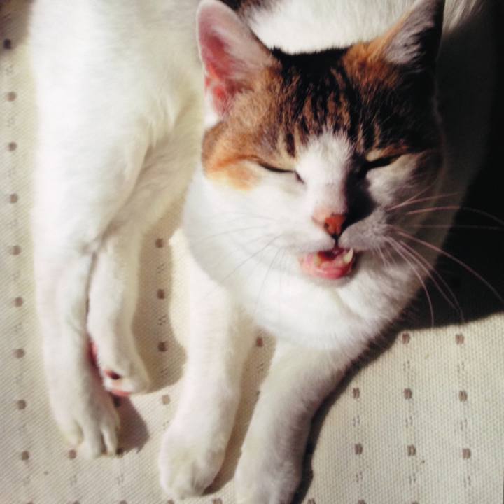 50183286 b767 4755 b782 fa3912e1cca2