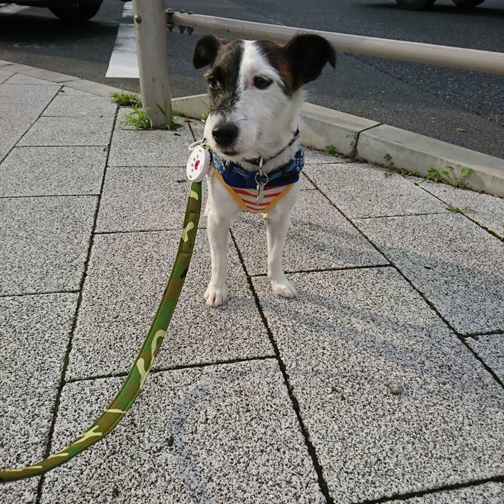 50191095 b1ac 4158 bce5 c204cac6aaec