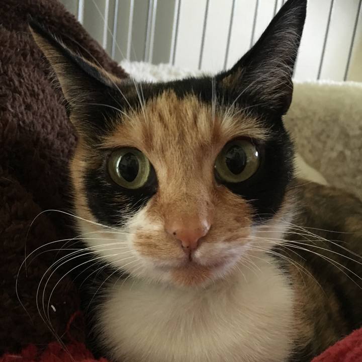 501941ba 9344 45ef a2db 1c17115f63b9