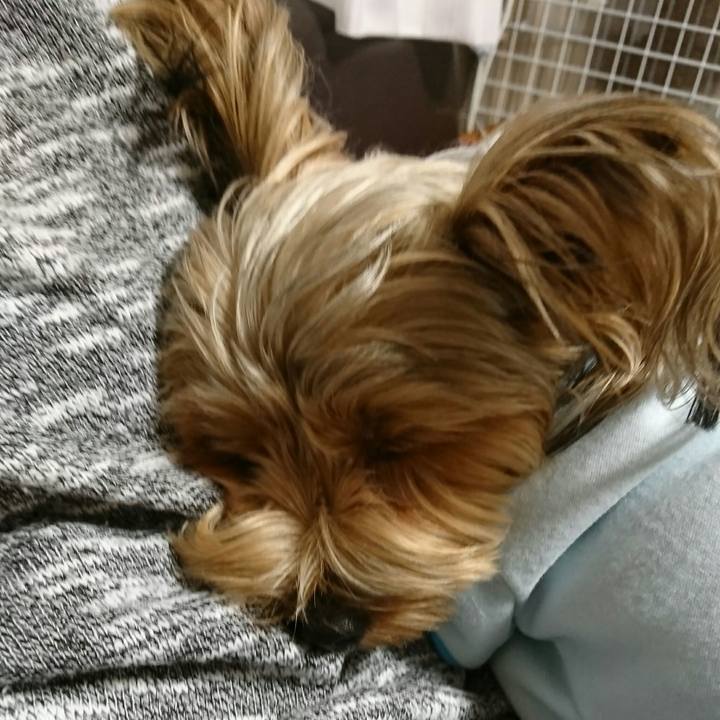 50194e19 70dd 4c23 a048 d9b75a9e4edb