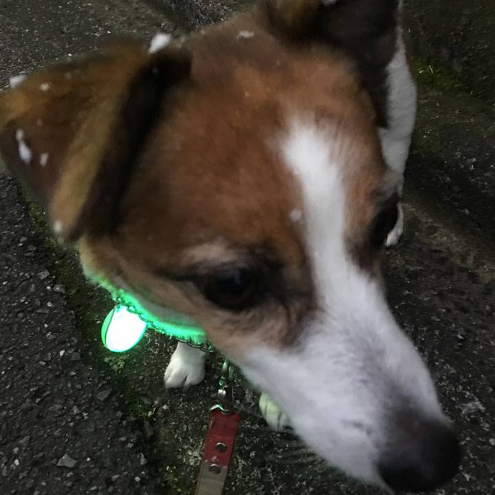 5019b618 ae42 4831 9c24 f541468edbc9