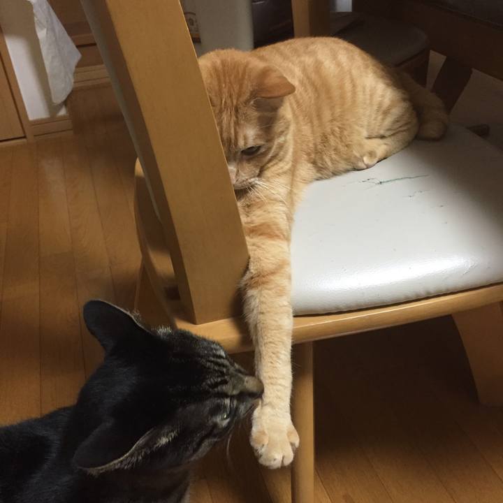 501a8f27 e947 4eea a6fe 7960520019de