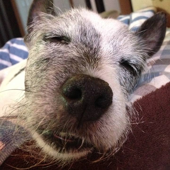 501ae036 13ad 4009 8cbb ee5698060a38