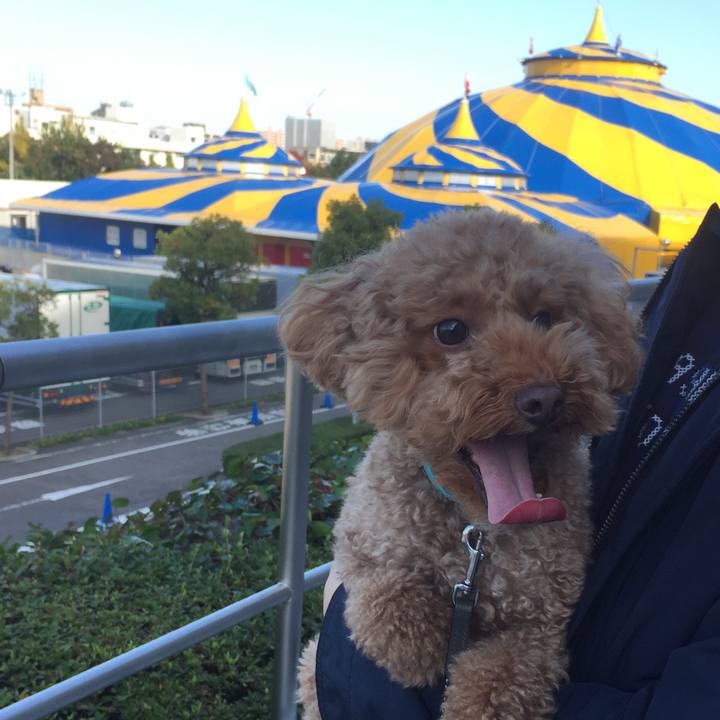 501aff7f 2ccf 46f8 b83f 89fc8a0e8a1f