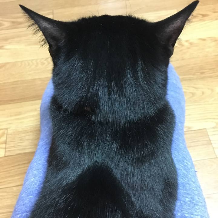 501b0366 c58b 4508 a74f 64a486c7b01b