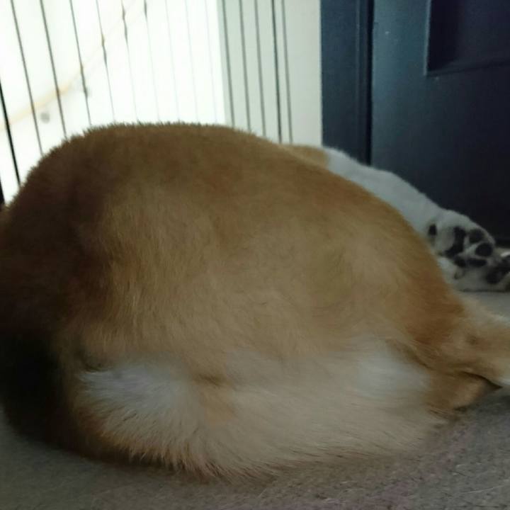 501b6da0 d1f9 42a8 b4b6 36bdf9ffcaa5