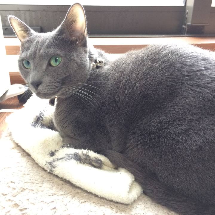 501c9508 17b5 49d5 a8c3 f3cfecc33c54