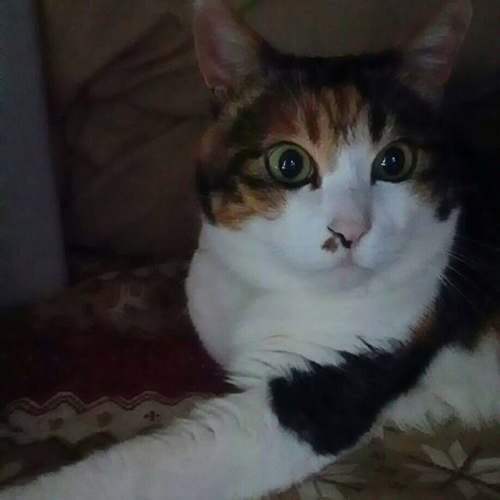 501cf0ff 4d80 464d bcbc db5dd8e3838d