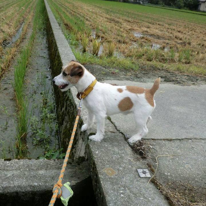 501ddc97 d65d 4631 ba42 181640fc7ca1