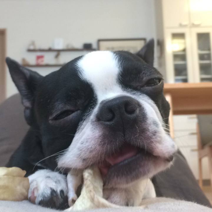 501ed17b 3911 43a4 bd40 bdf7ca3e06e6