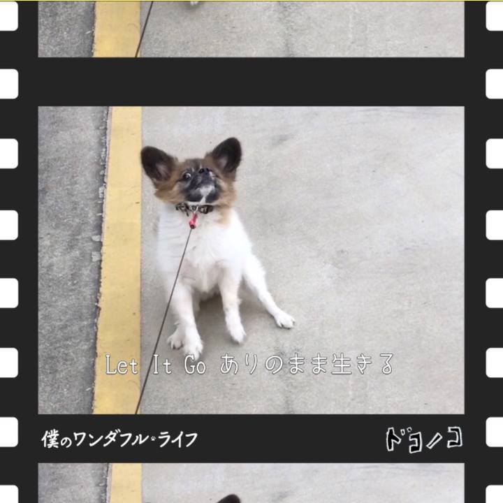 501f1ada 0017 420f 8b8d 880302f83afc