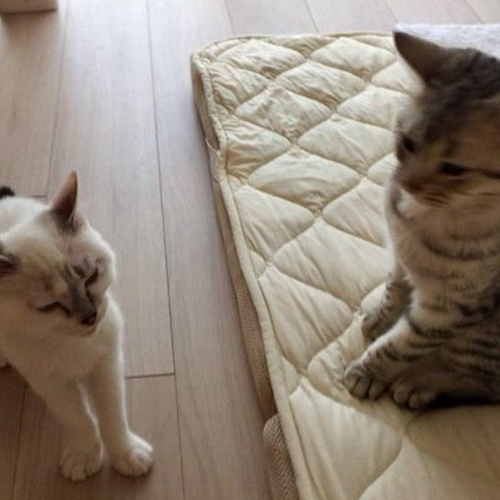 501f31b6 2377 44b6 b621 4379d9a4ece1